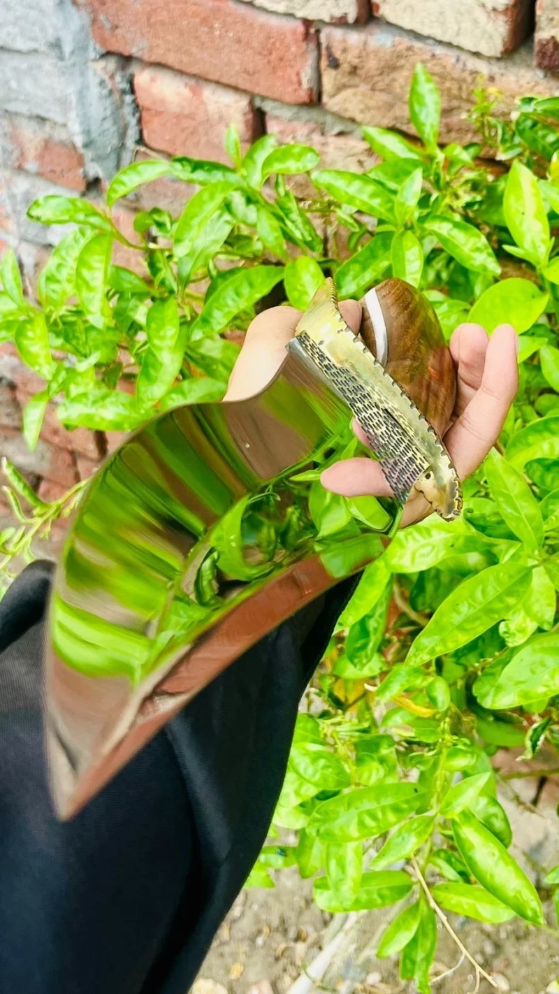 Premium Handmade High Carbon Bowie Knife - Image 5